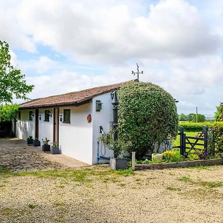 Bluebells By Stae-homes