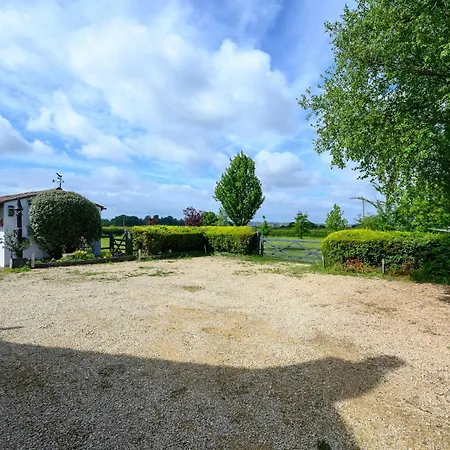 Bluebells By Stae-homes Πανδοχείο *