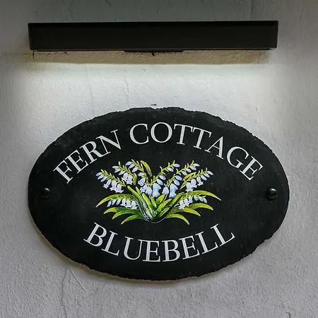 Herberg Bluebells By Staystaycations Bristol