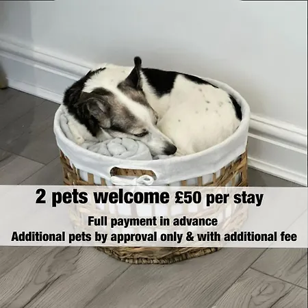 Bluebells By Stae-homes אורחן בריסטול