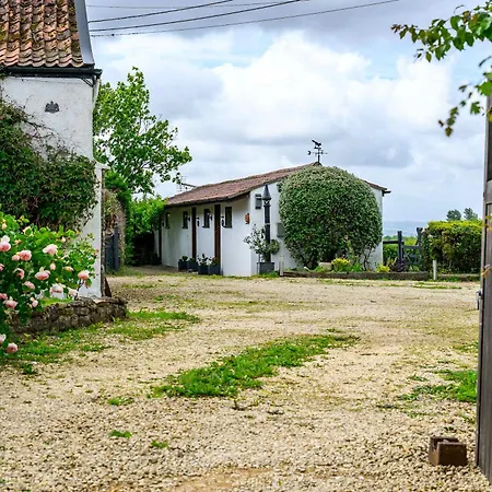 Bluebells By Stae-homes بيت ريفي
