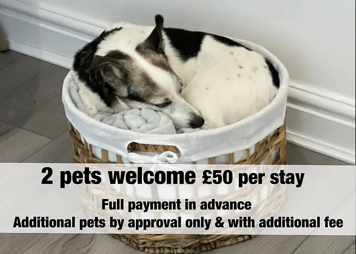 Bluebells By Stae-homes بيت ريفي بريستول